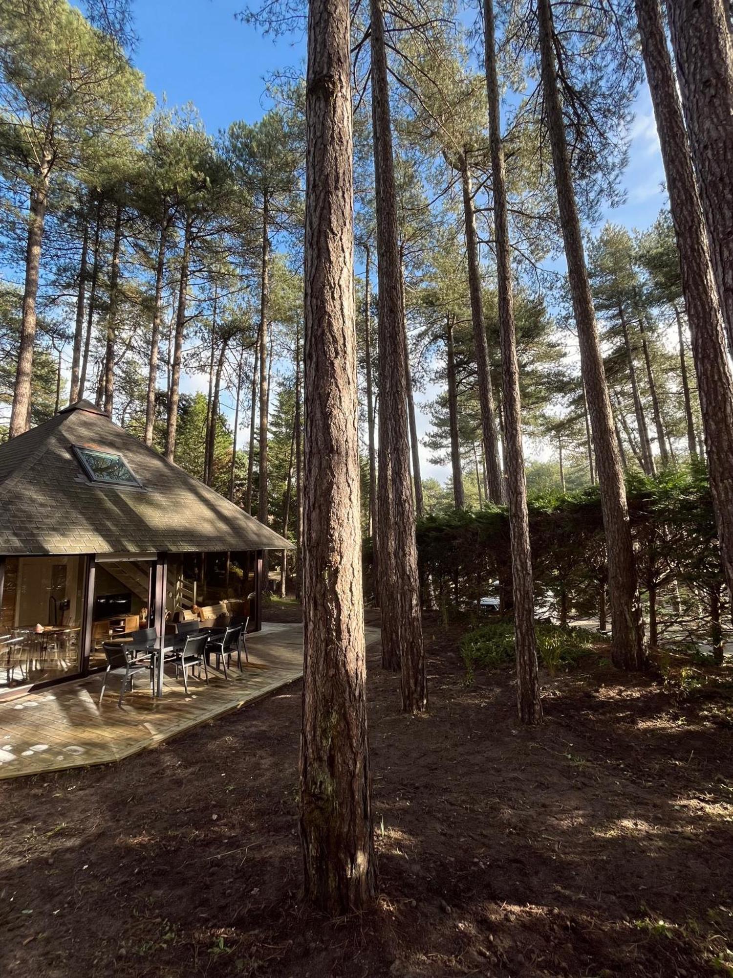L Oree De La Pinede Hardelot Plage A 800 Metres De La Mer Sous Les Pins Bagian luar foto